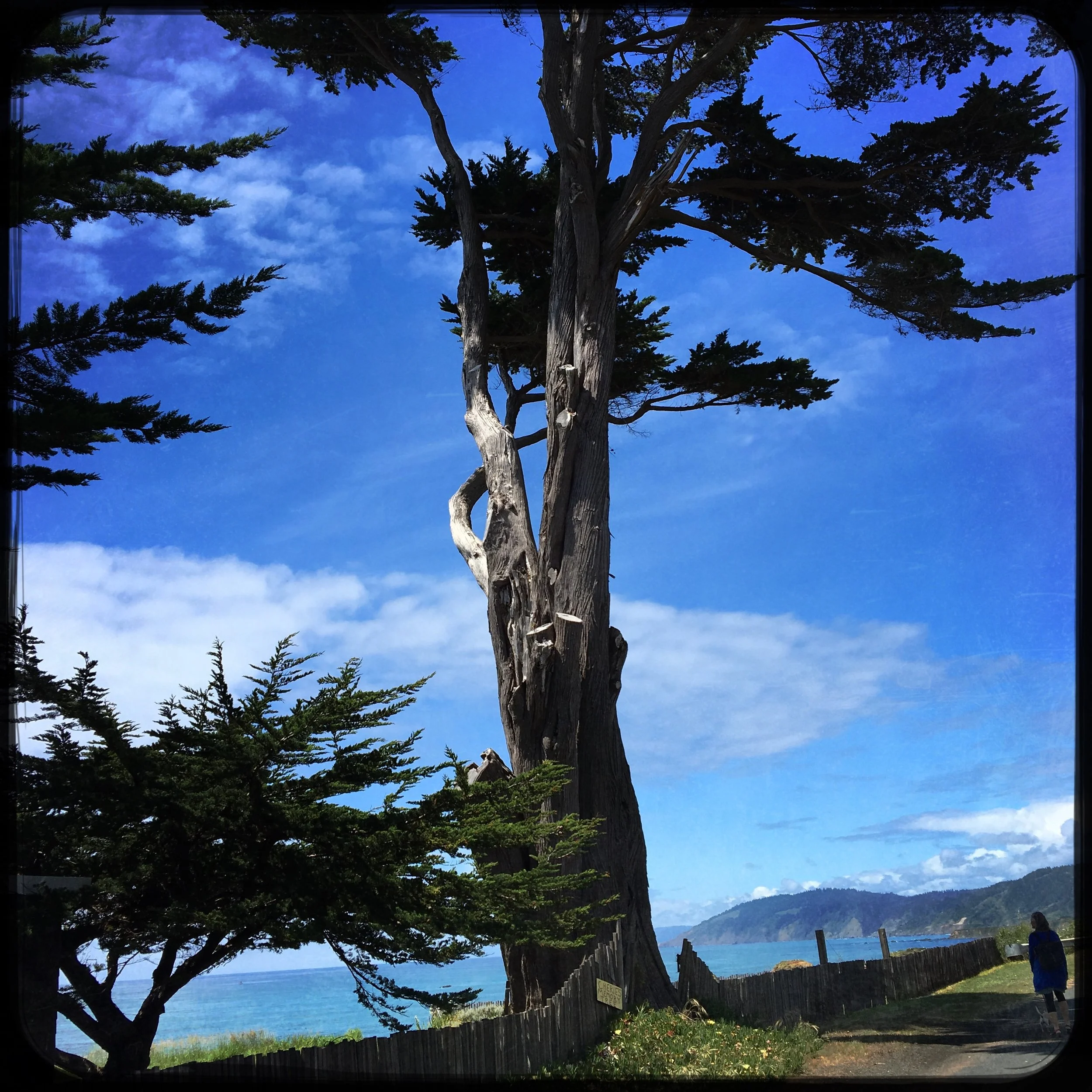 Kathleen Ousley-westport- $250-10 x 10.jpg