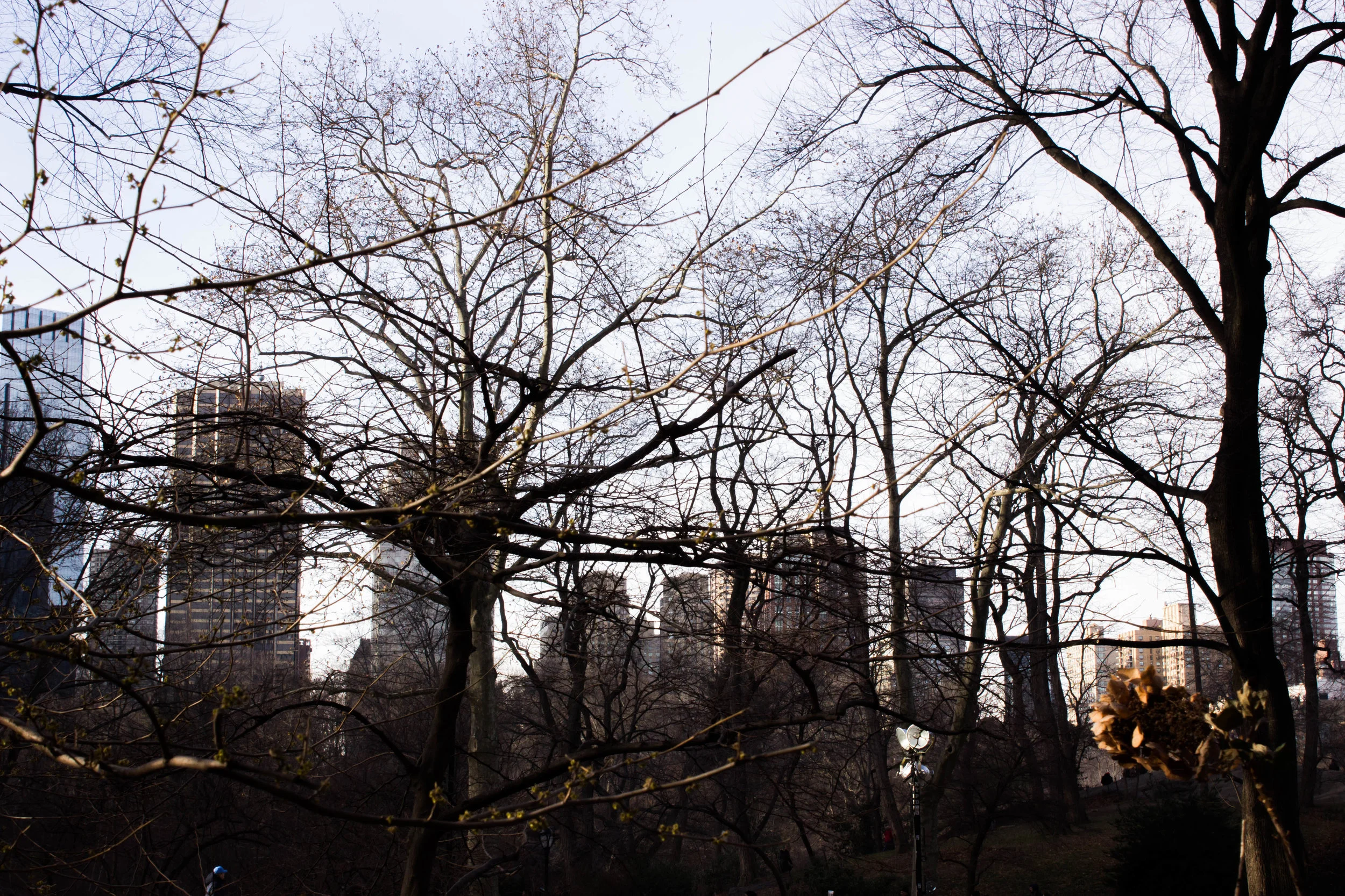 Manhattan-2343.jpg