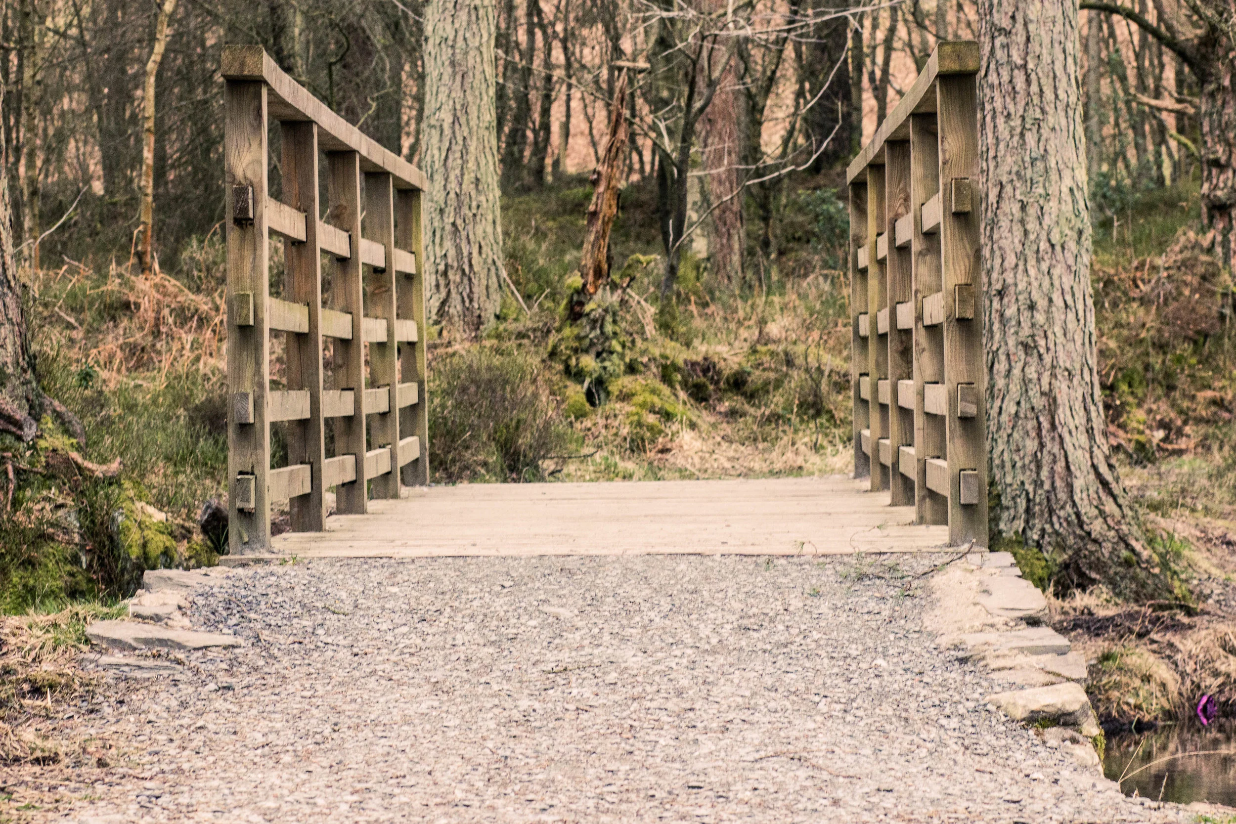 Bridge-3753.jpg