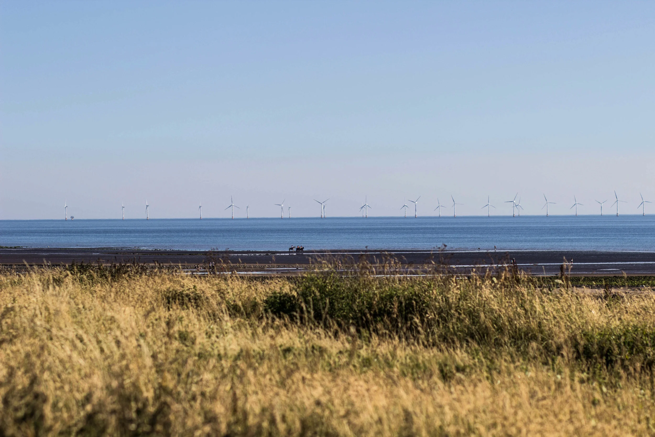 Walney-4919.jpg