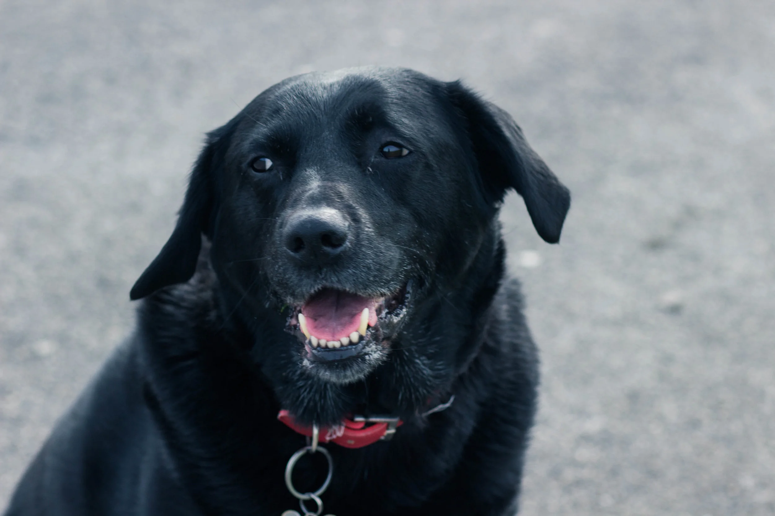Cody-5225.jpg