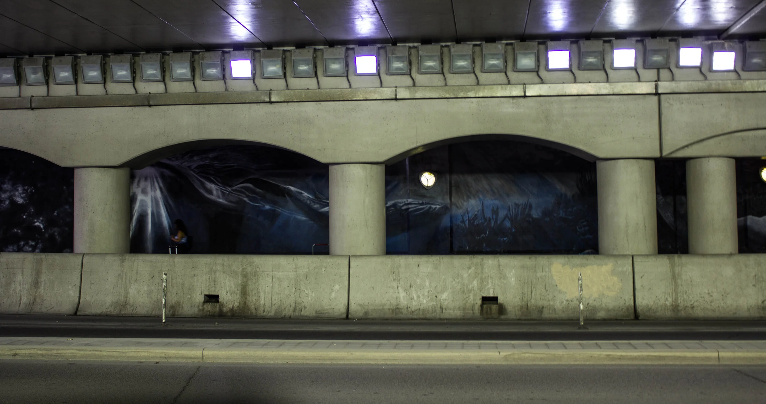 Spadina Ave-tunnel-6994.jpg