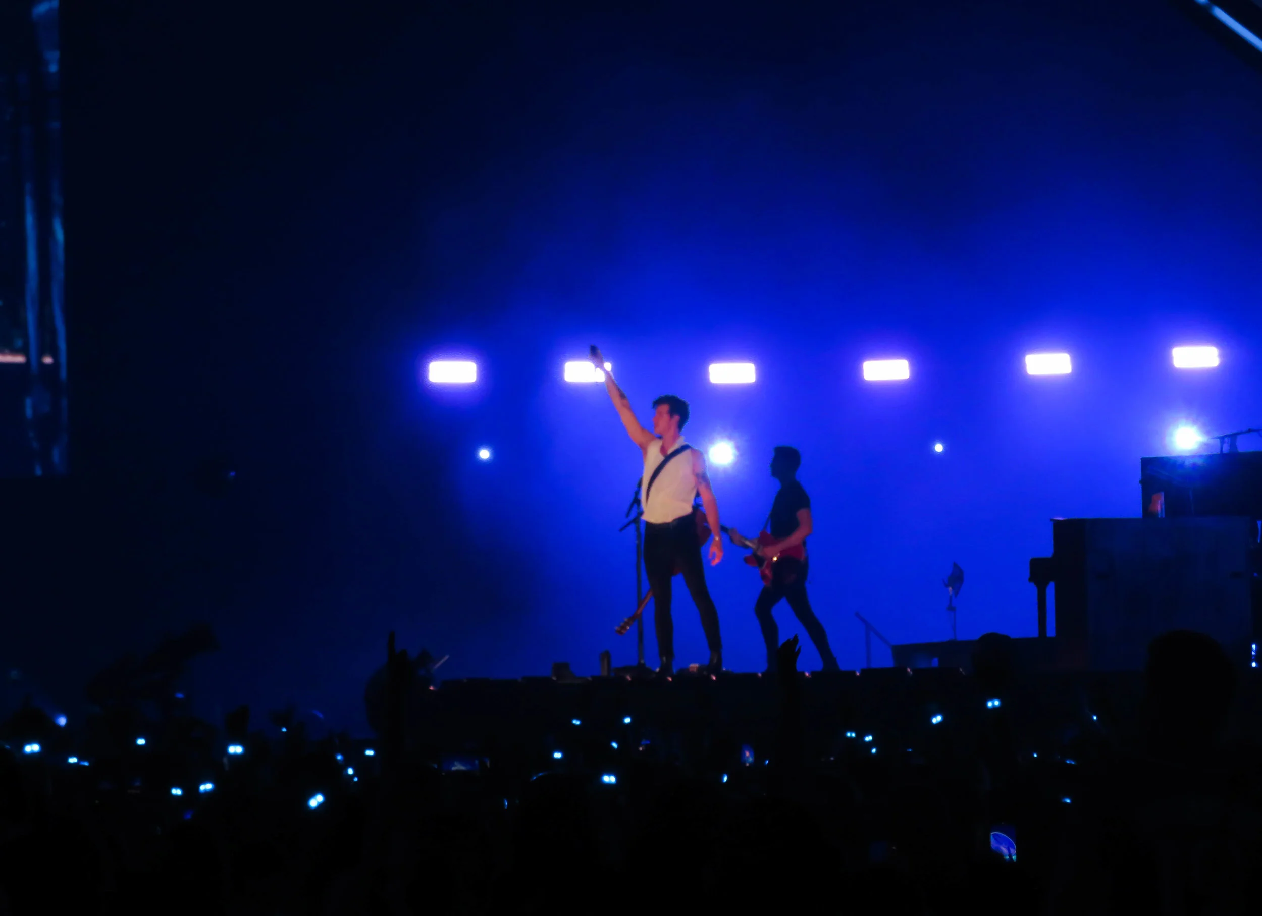 Shawn-1478.jpg