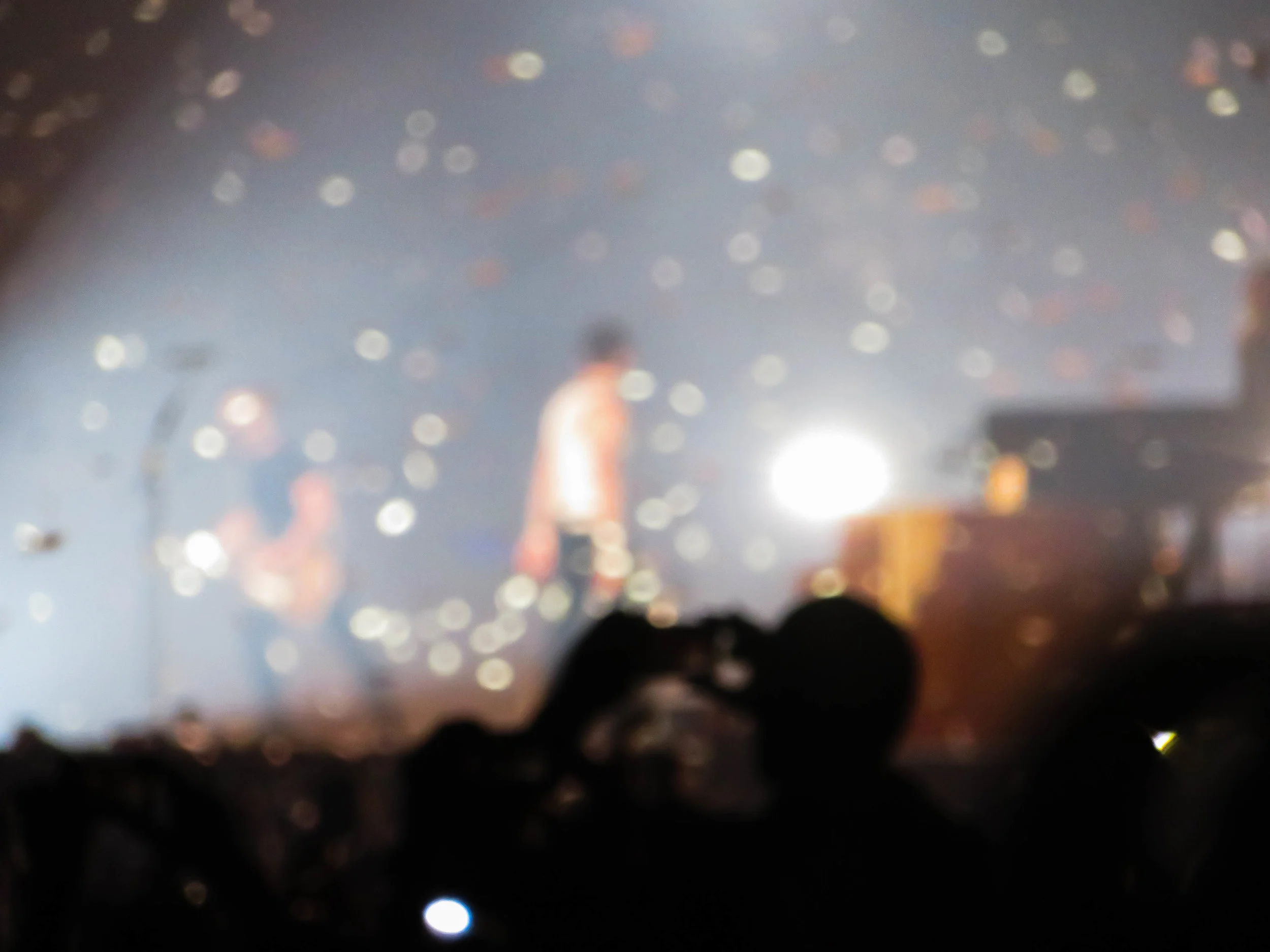 Shawn-IMB-1837.jpg
