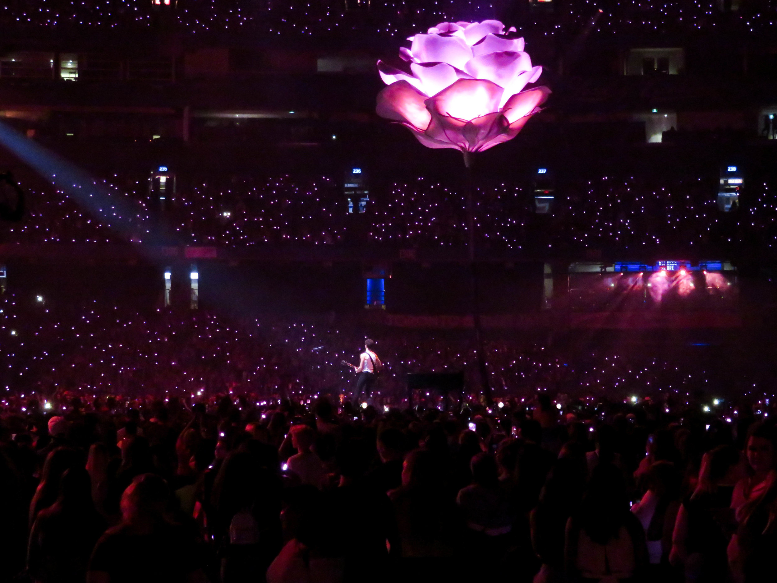 B-Stage-1598.jpg