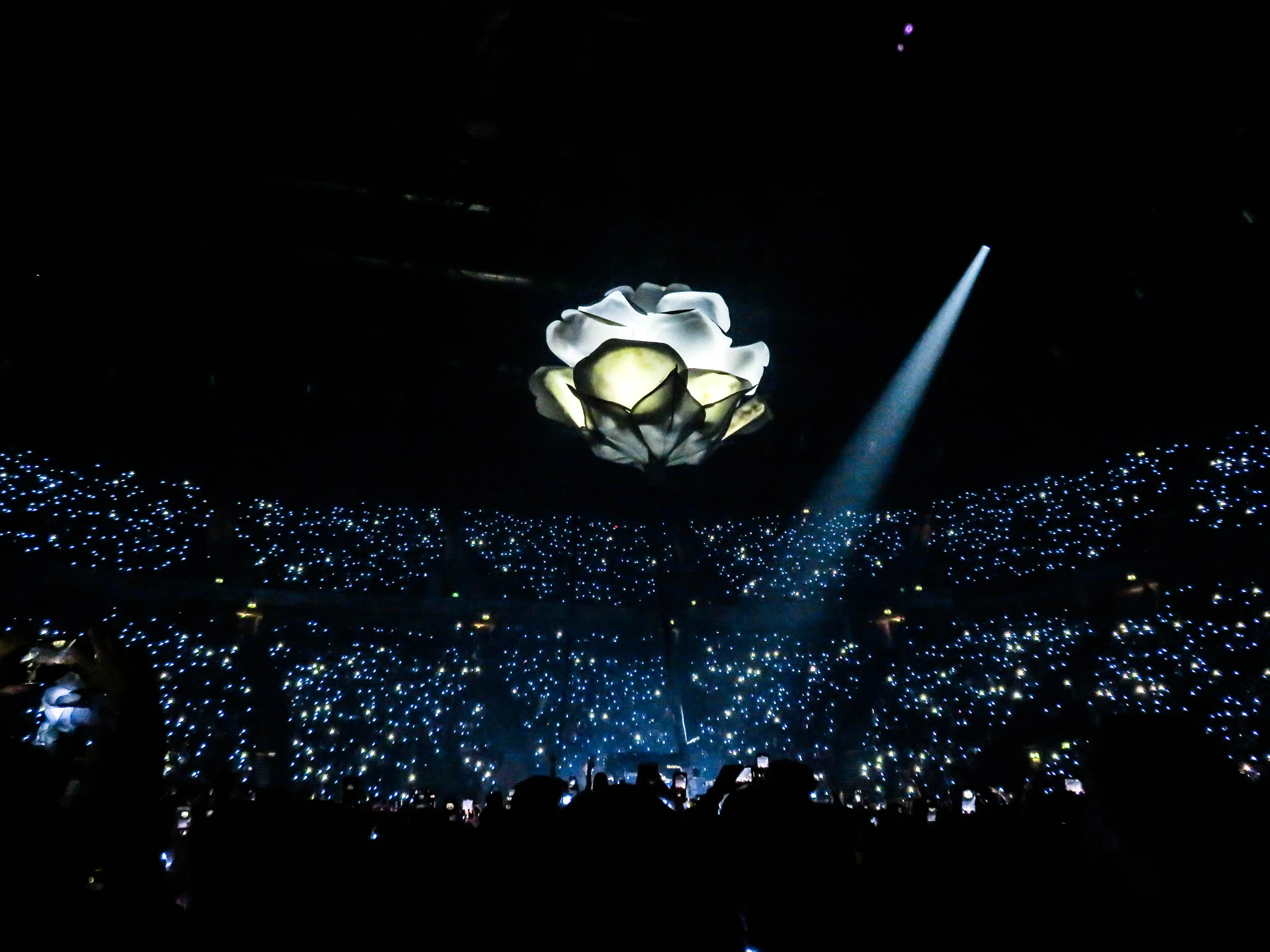 B-Stage-0583.jpg