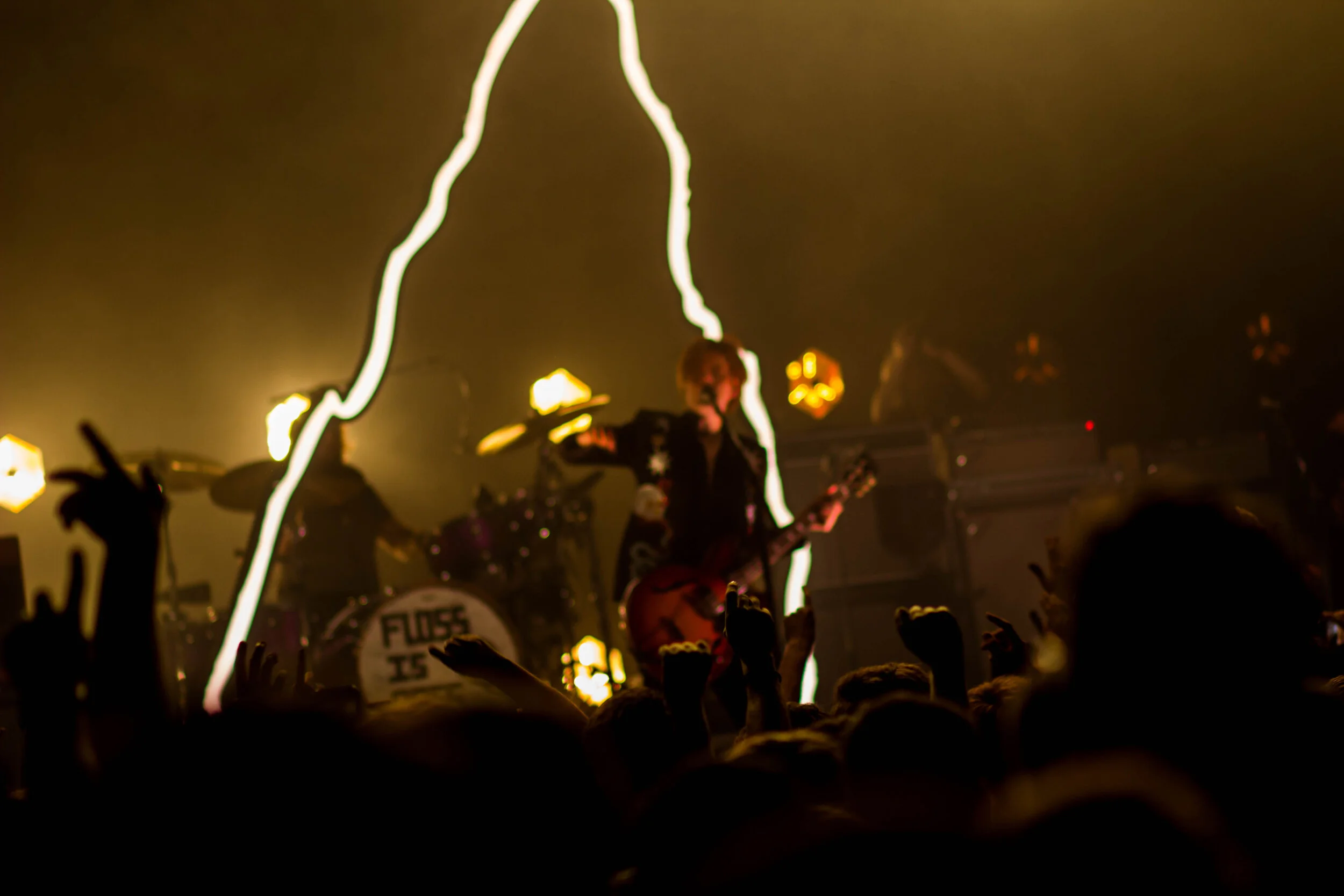 The Amazons-IMG_8185.jpg