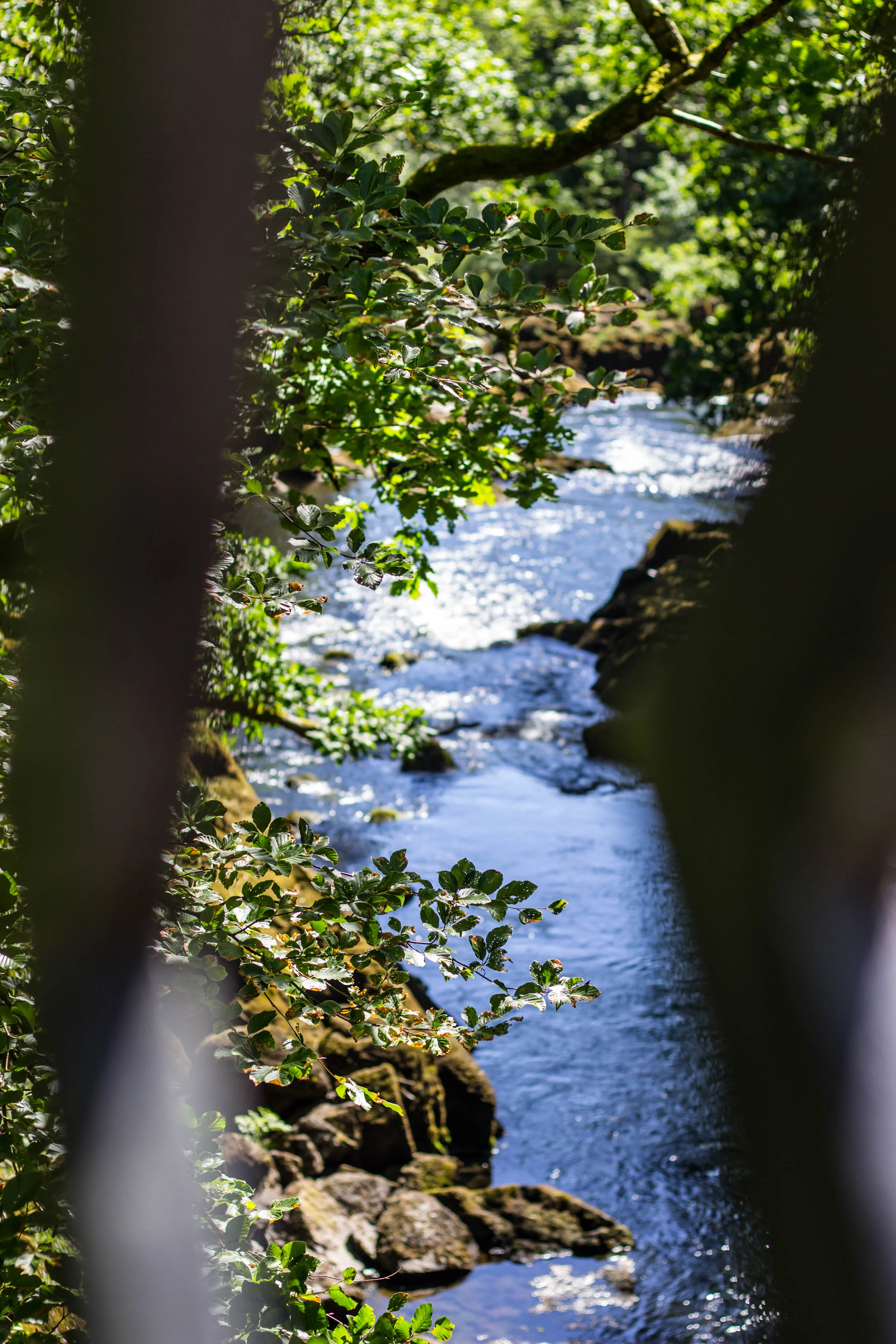 Bridge-1569.jpg