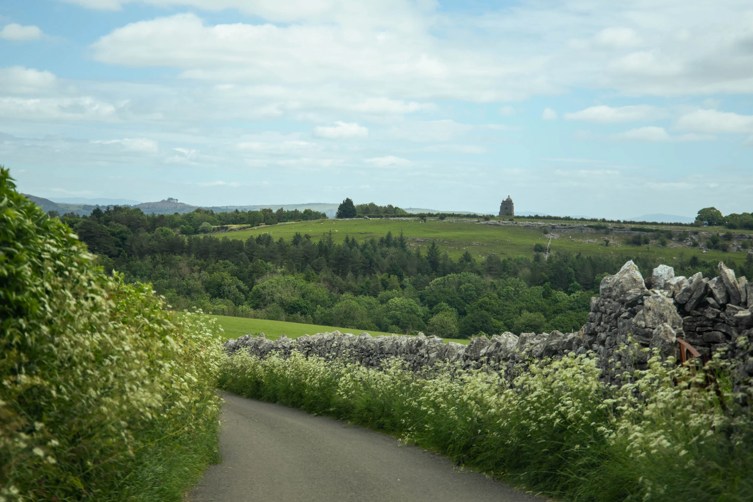 Birkrigg-8029.jpg