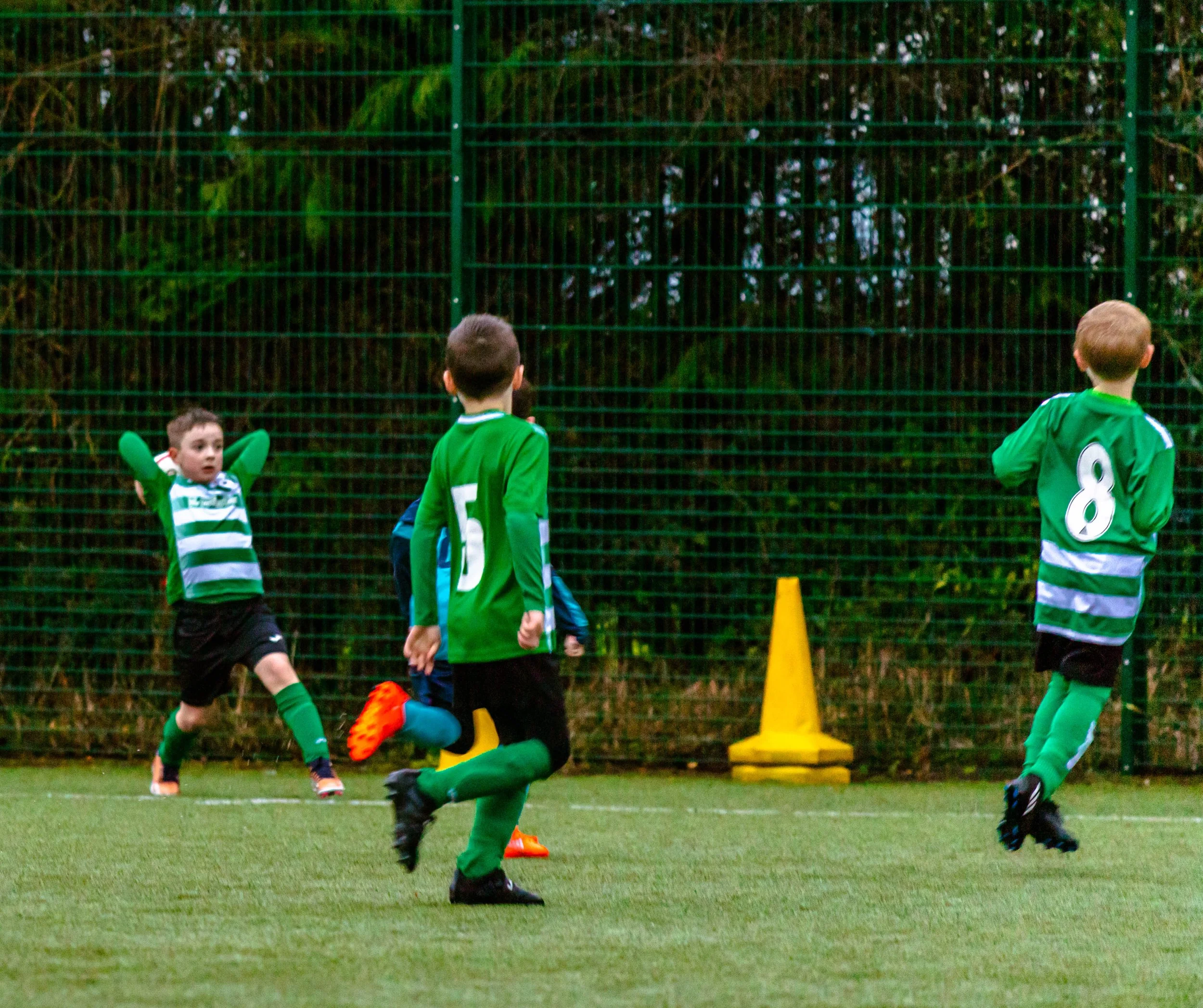 Celtic Tigers-2630.jpg