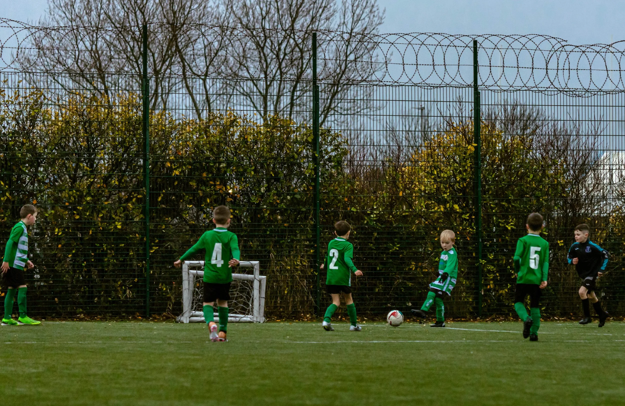 Celtic Tigers-2680.jpg