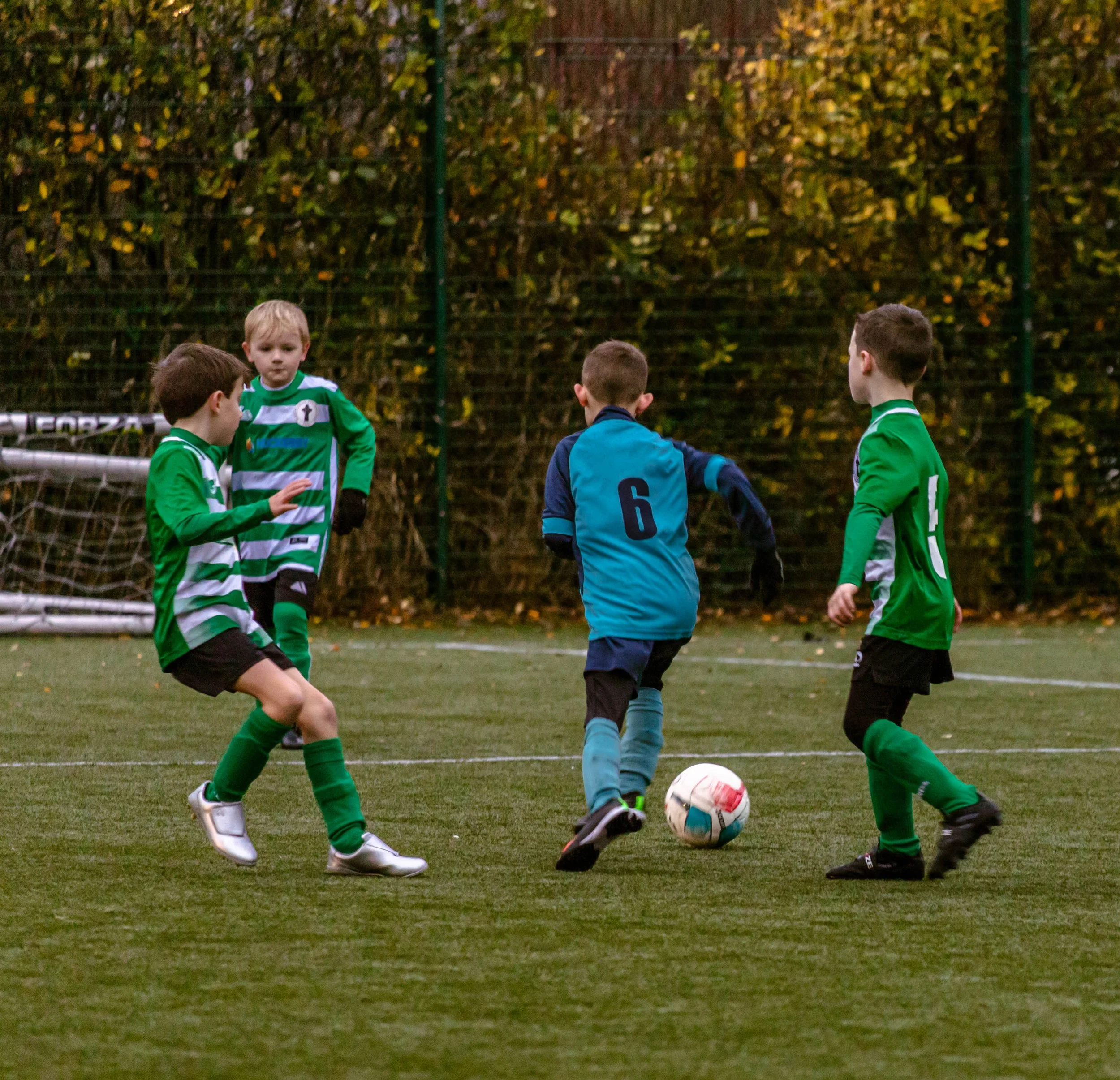 Celtic Tigers-2700.jpg