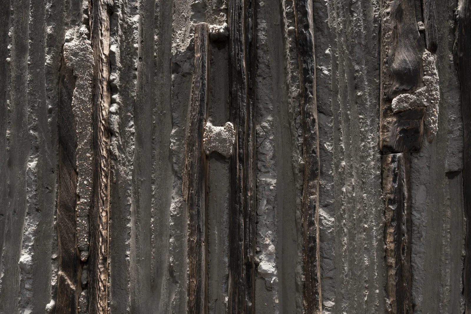 Architekton © GREY SHED STUDIO