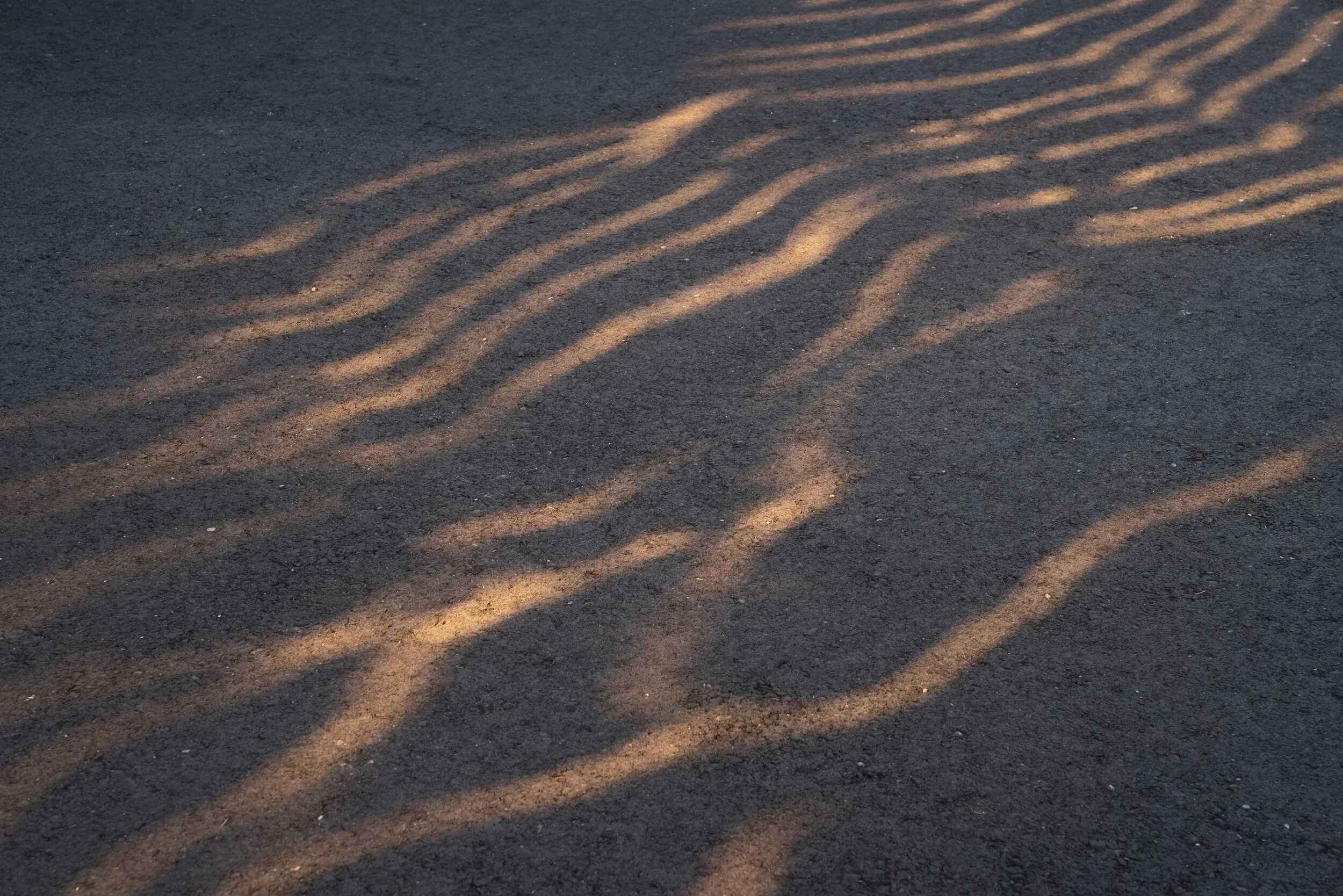 Local Studio © GREY SHED STUDIO