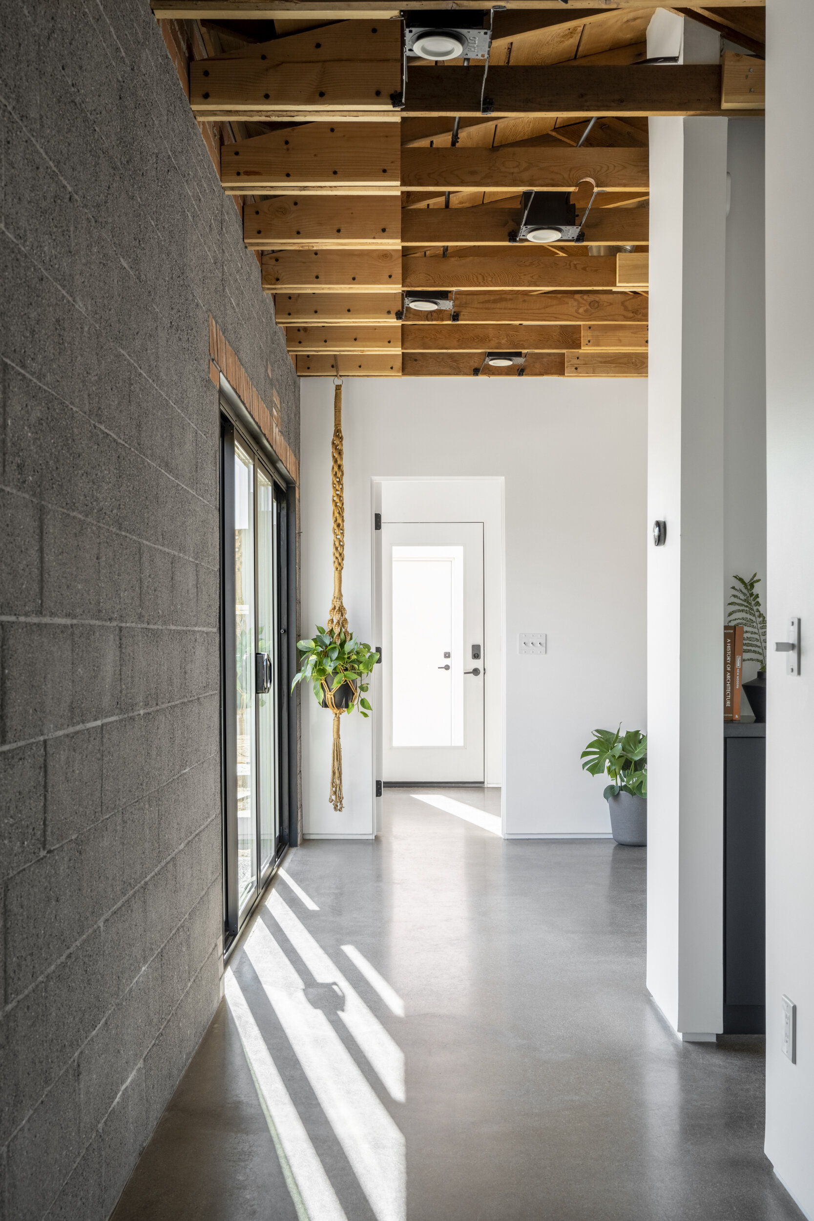 Joel Contreras Design © GREY SHED STUDIO