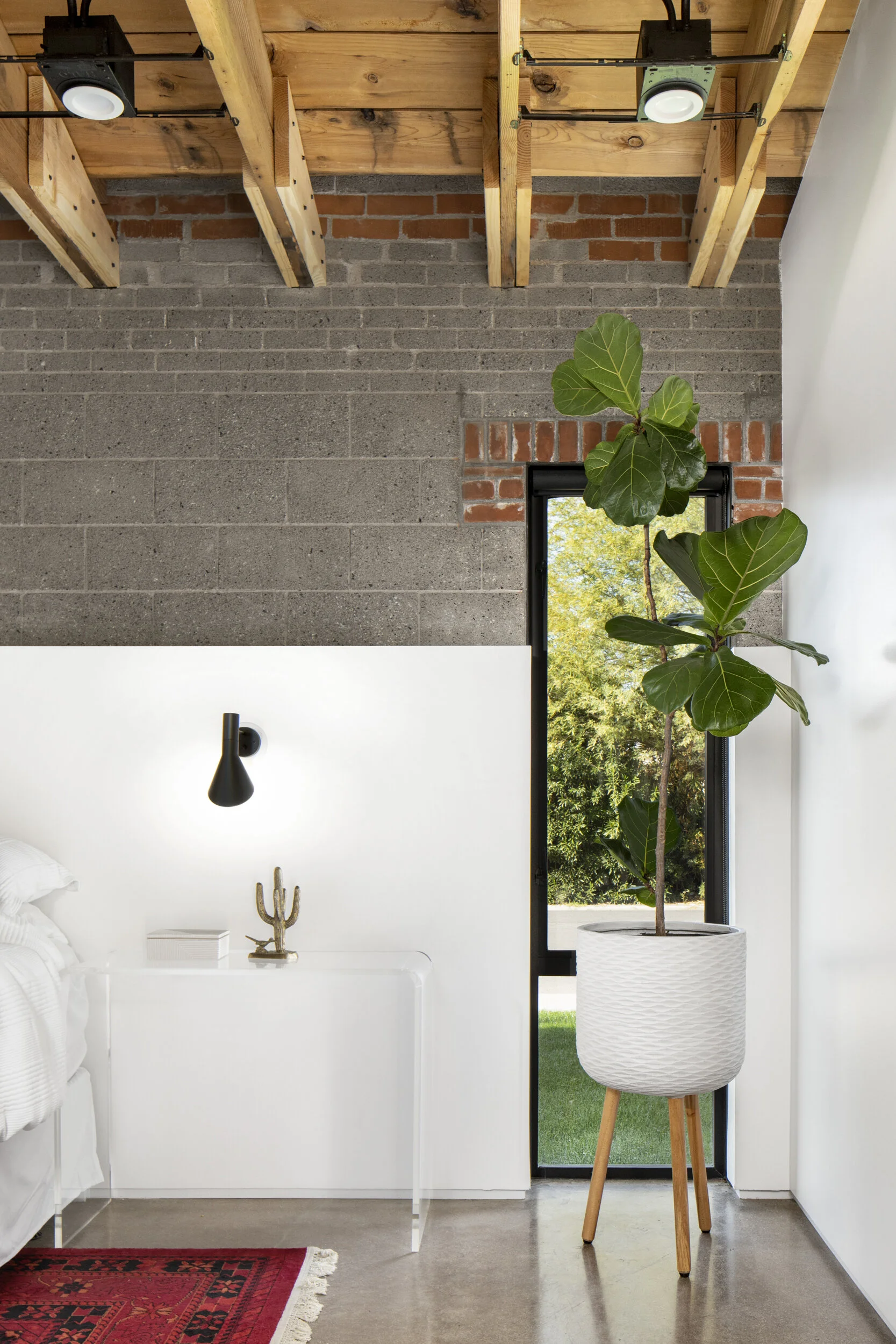 Joel Contreras Design © GREY SHED STUDIO