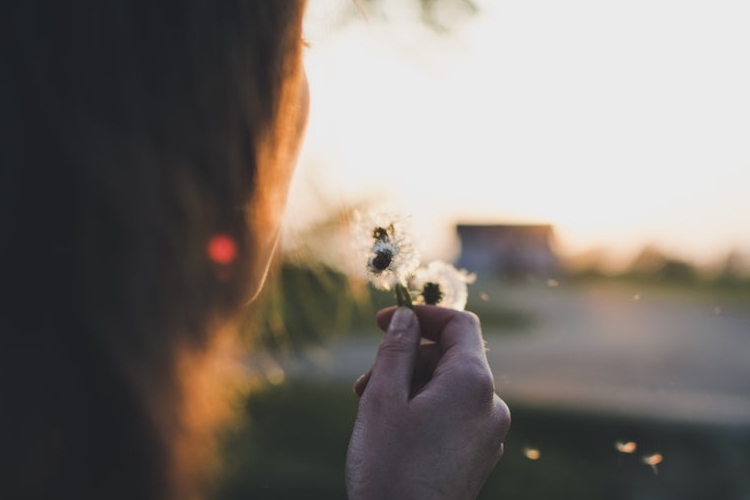 Blog Post_Blowing Flower.jpeg