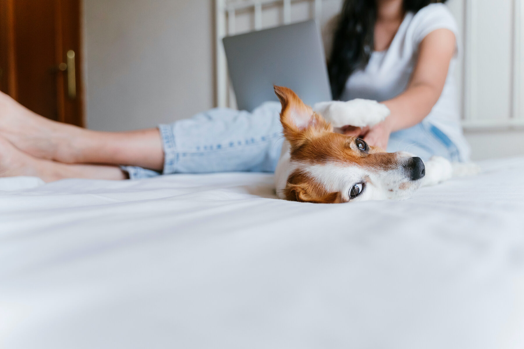 Eating Disorder Treatment For College Students And Teens In Ca Eating Disorder Treatment For College Students And Teens In Ca