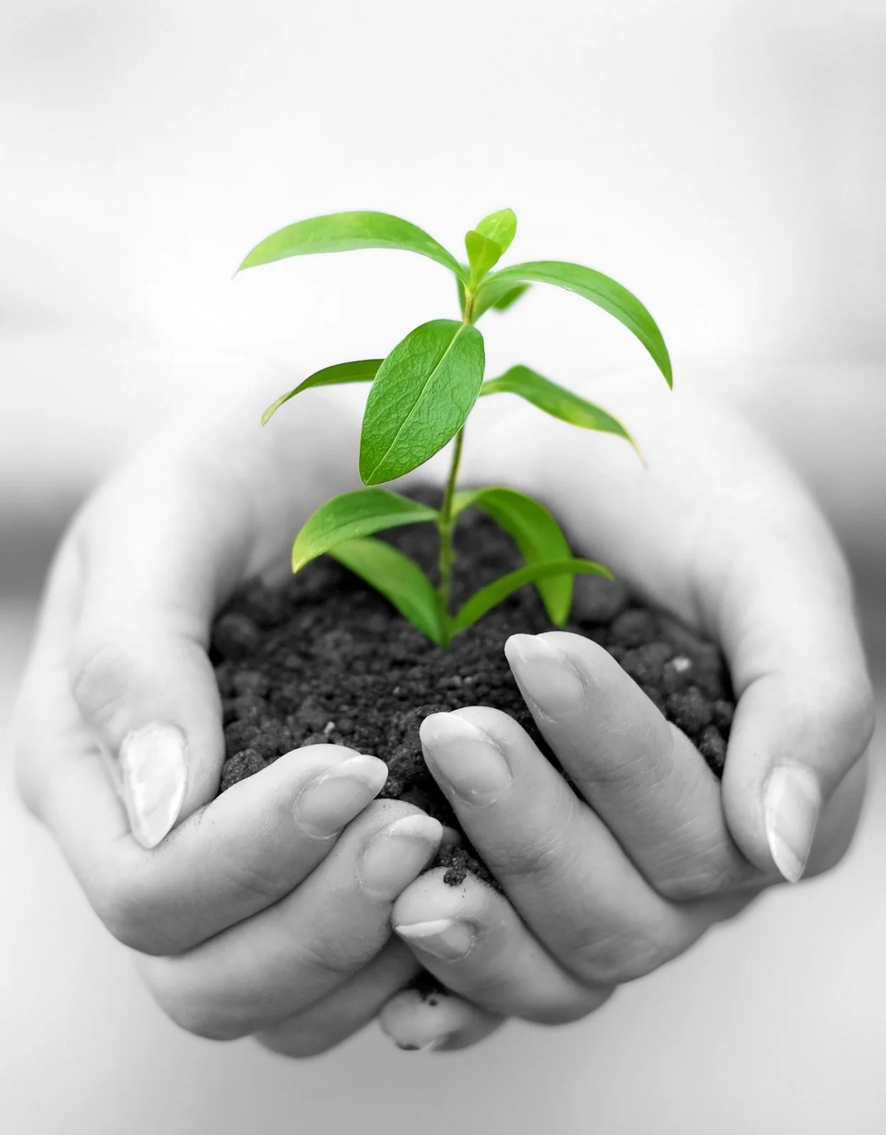 Healing the Earth, Healing the Self: How the Two Are Connected and Why It Matters Now More Than Ever