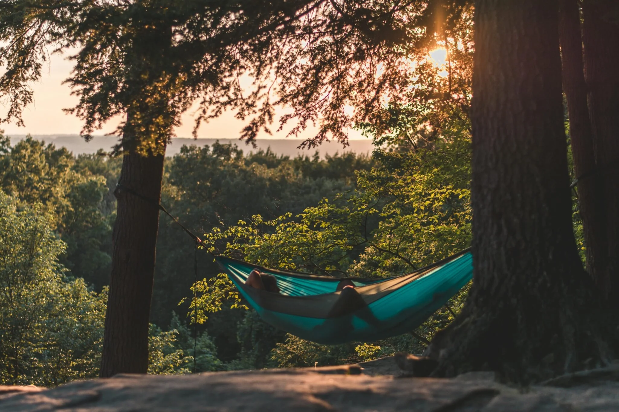 Person resting in a hammock between trees during sunset, surrounded by forest—symbolizing the importance of rest, stillness, and connection to nature in recovery from burnout.