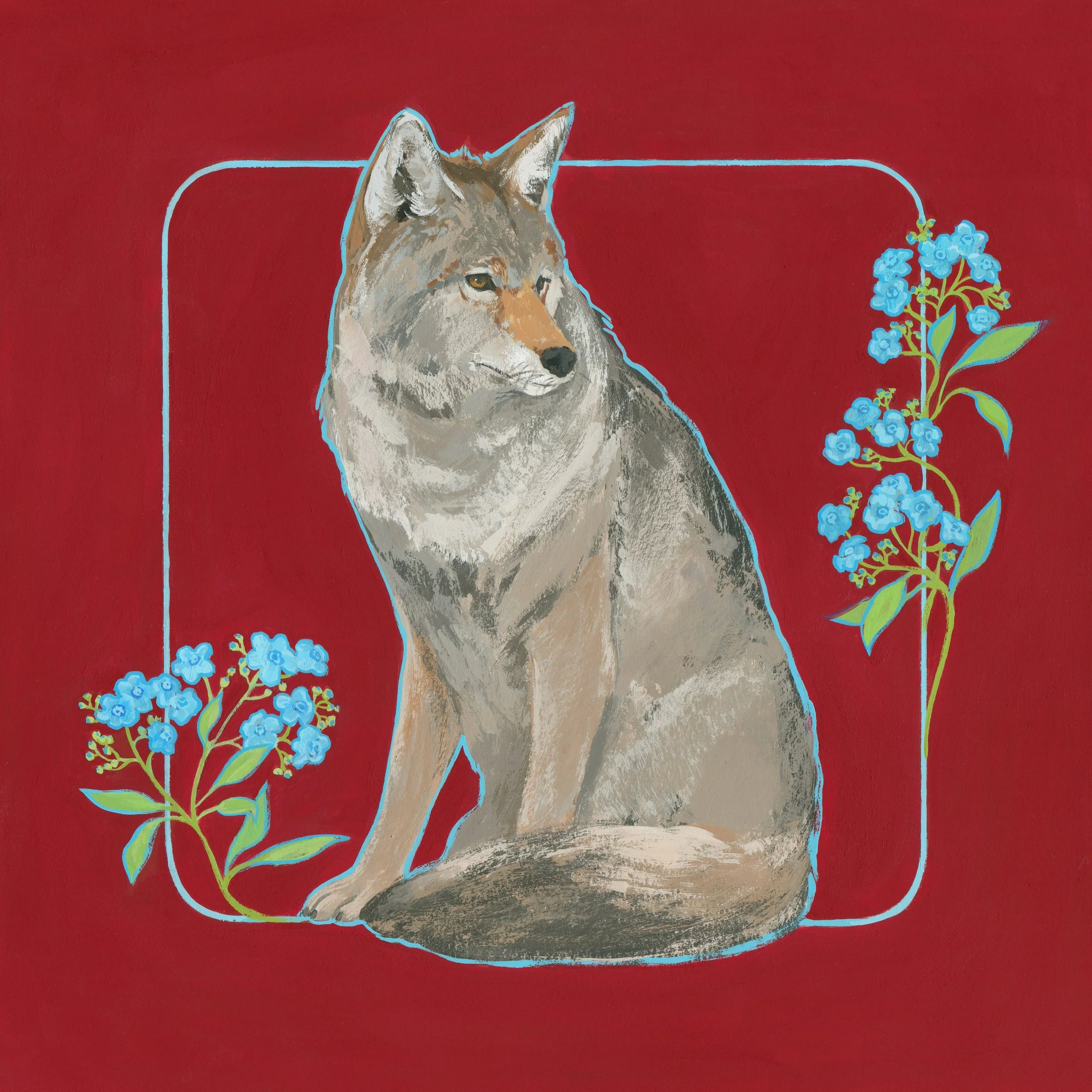 coyote_final smaller.jpg