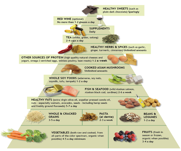 Food Pyramid.png