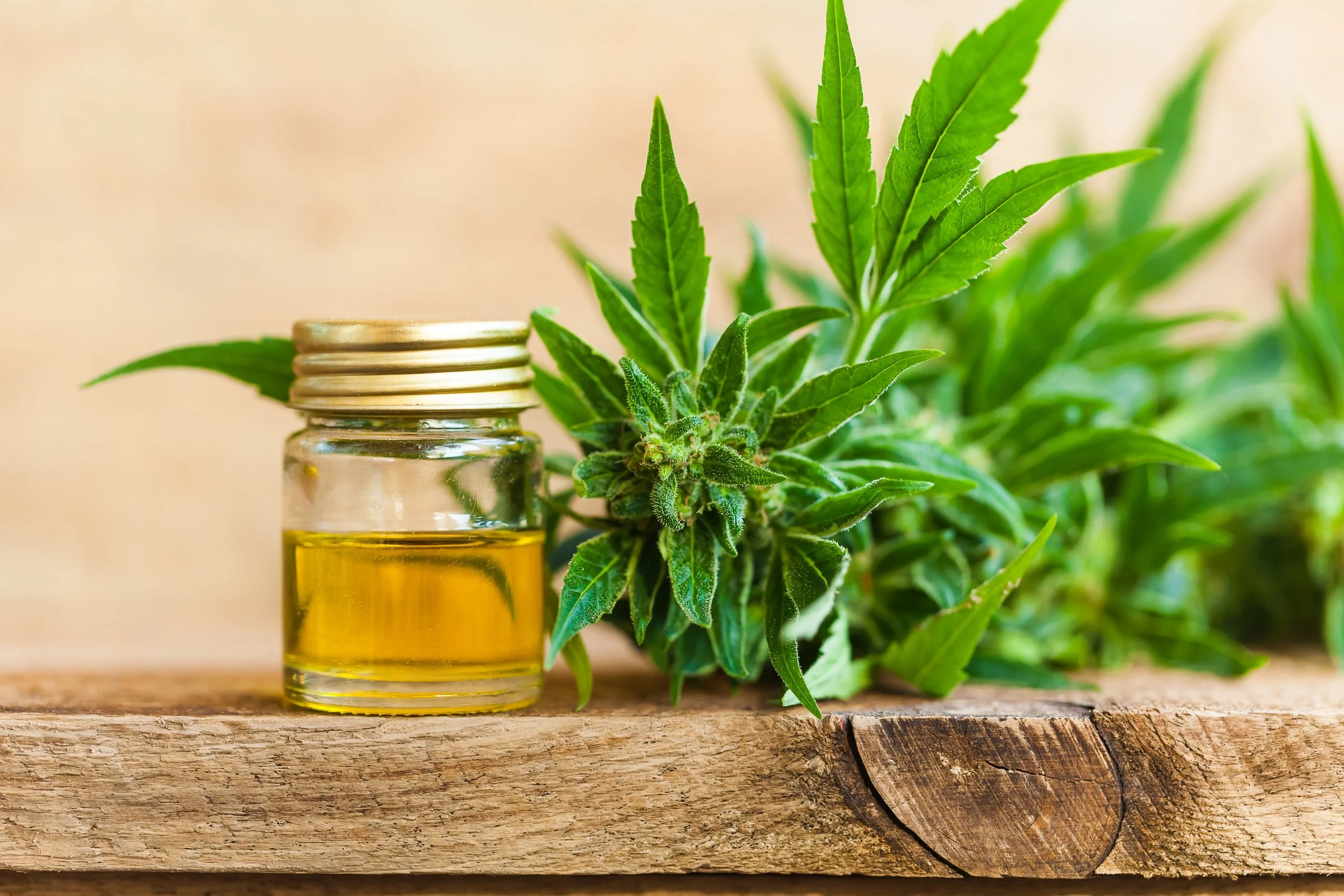 Most Common Question Asked in Office about CBD