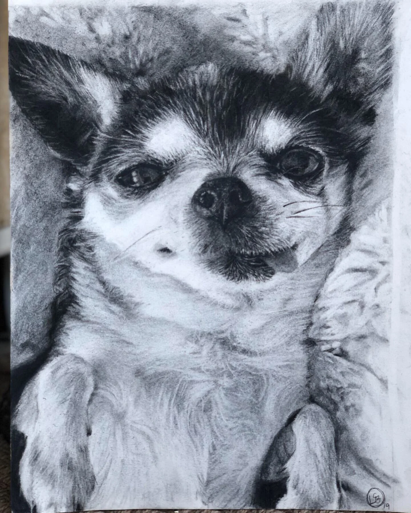 Mr. Marbles
