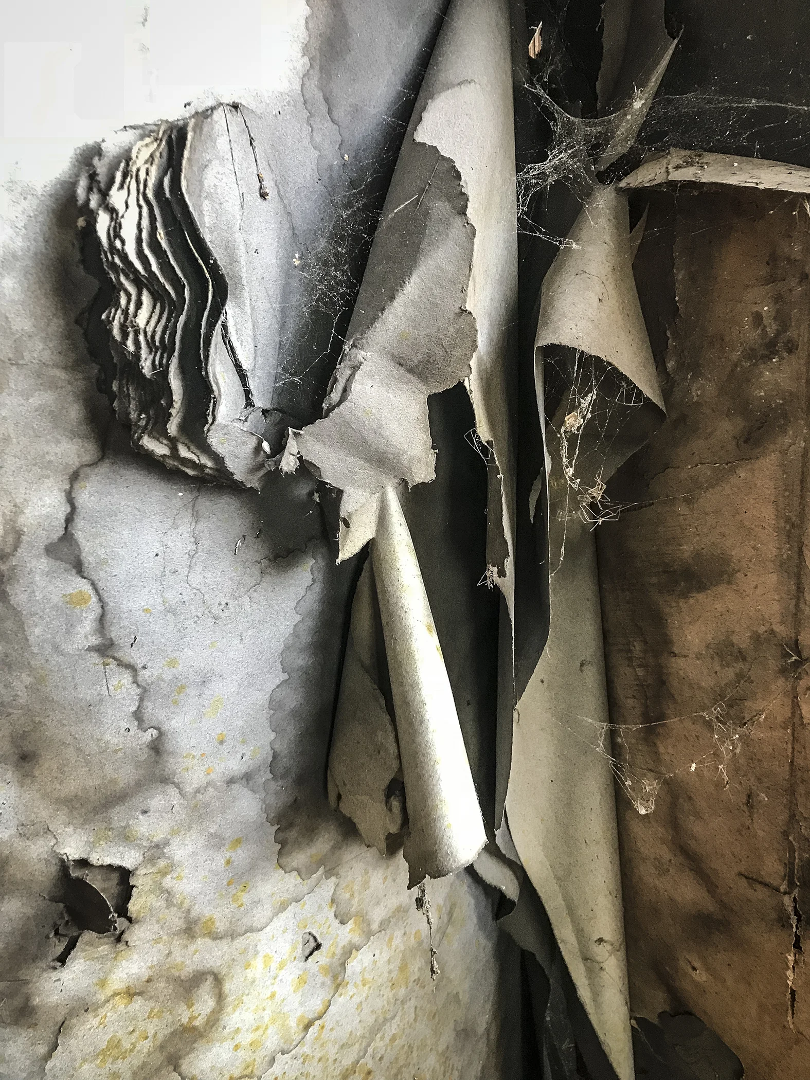 Old Rolls of Paper