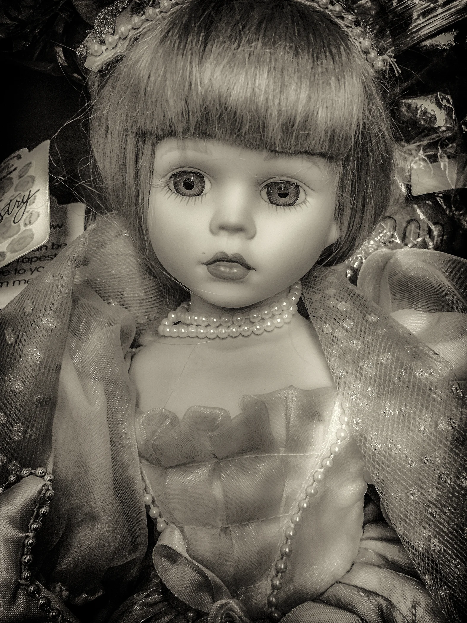 IMG_5469-Edit.jpg