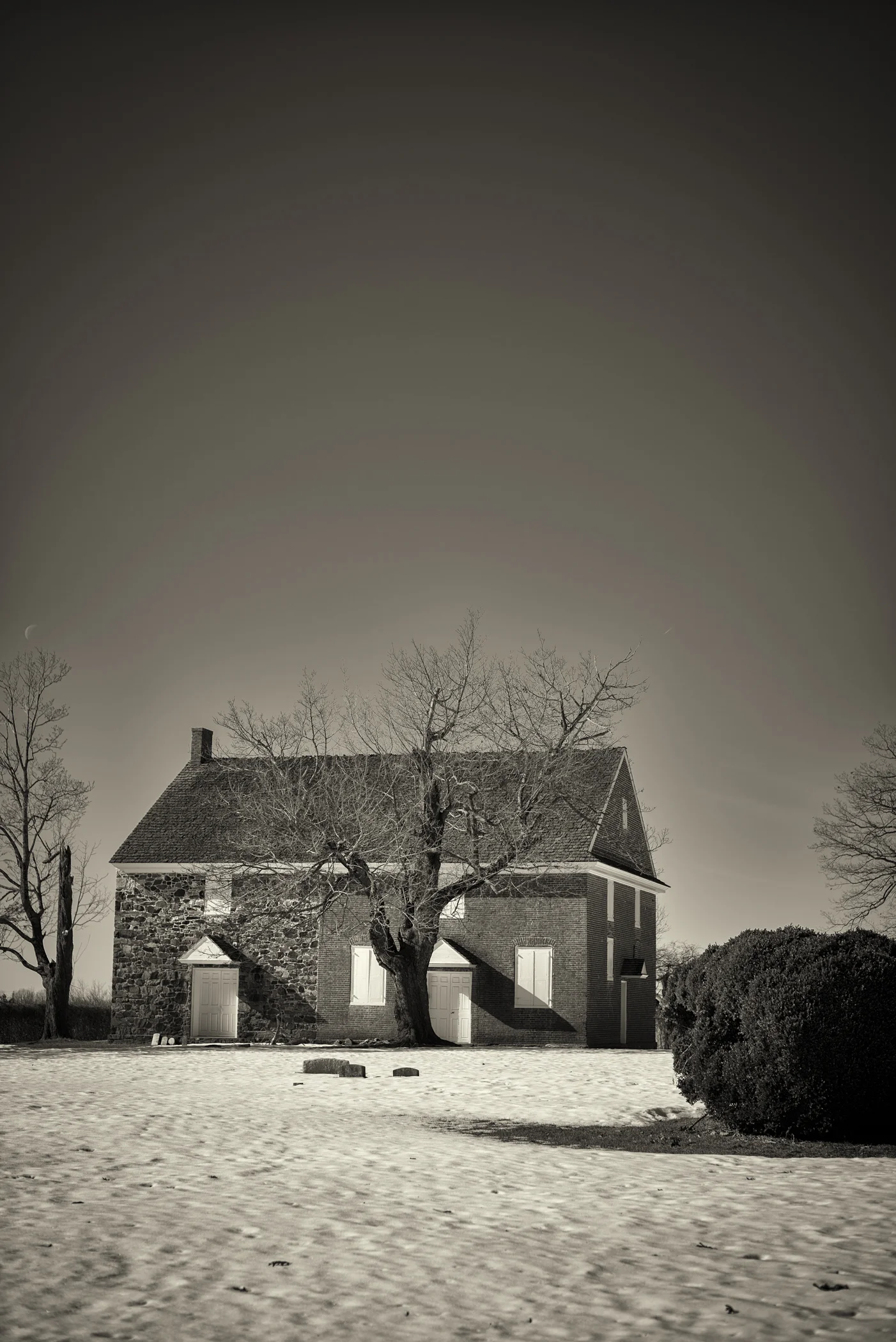 _8101178-Edit.jpg