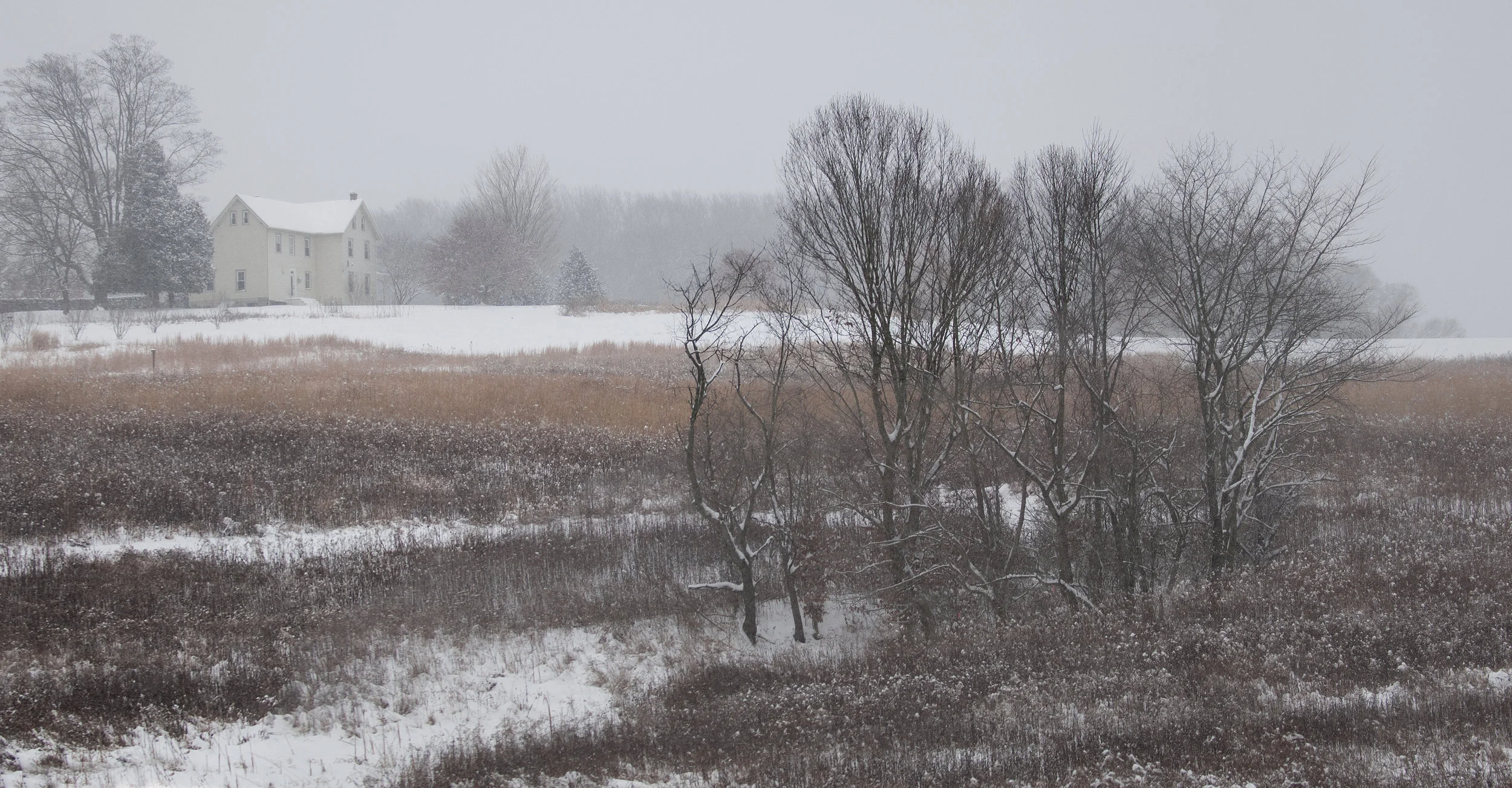 Longwood Meadows_536_7 Panorama.jpg
