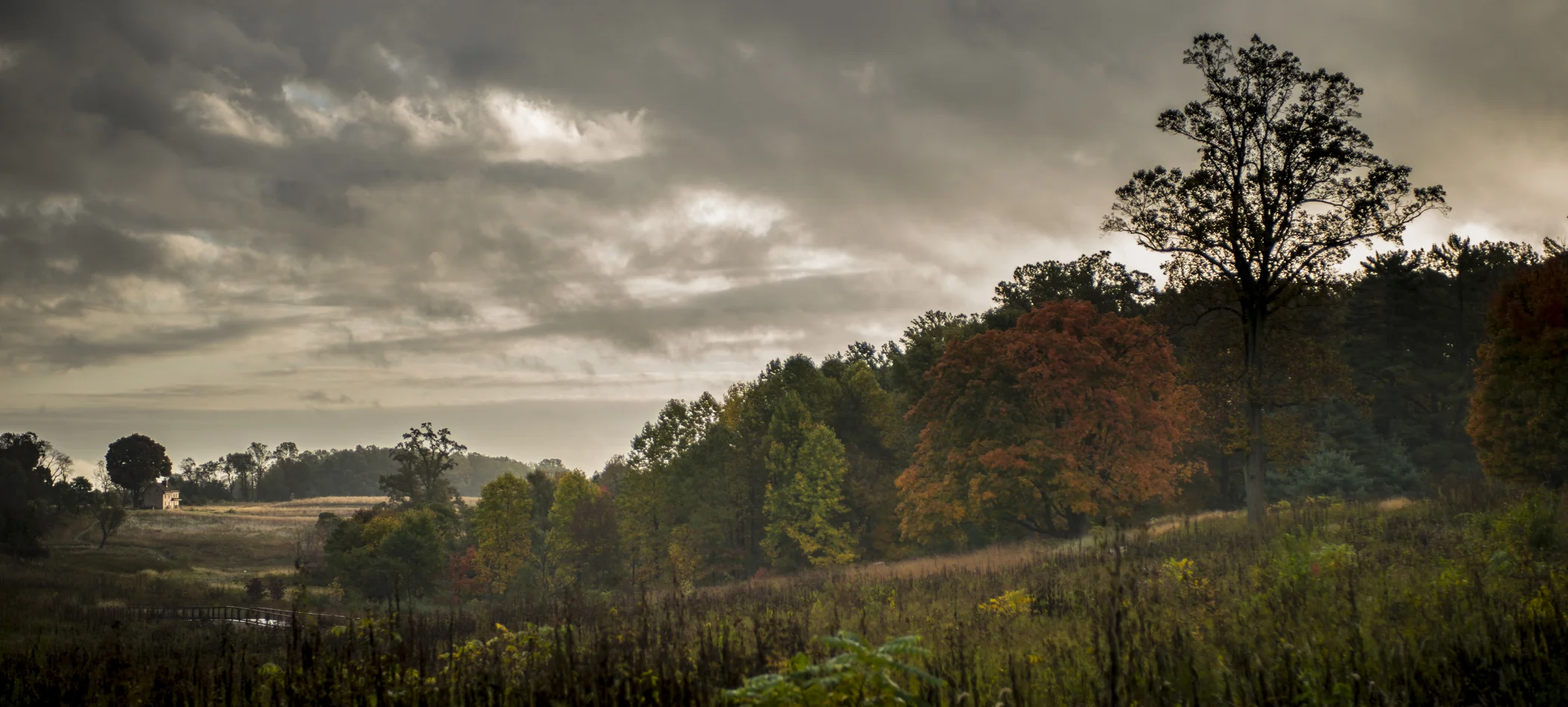 Longwood Meadow_5761.jpg