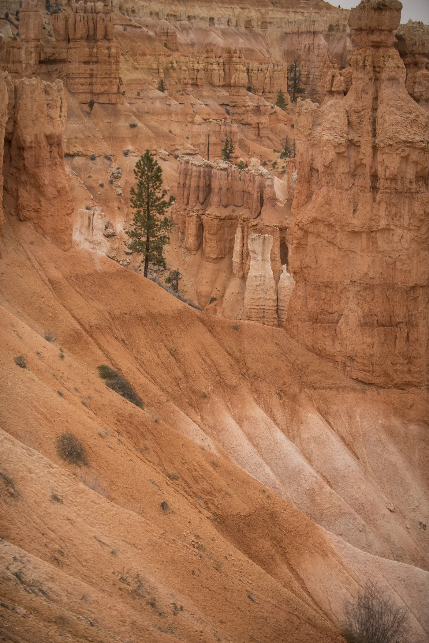 _D807077.jpg