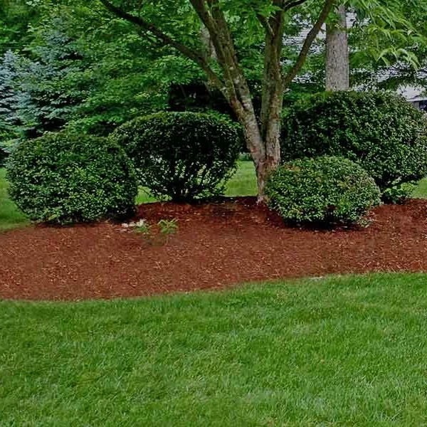 mulching-1.jpg