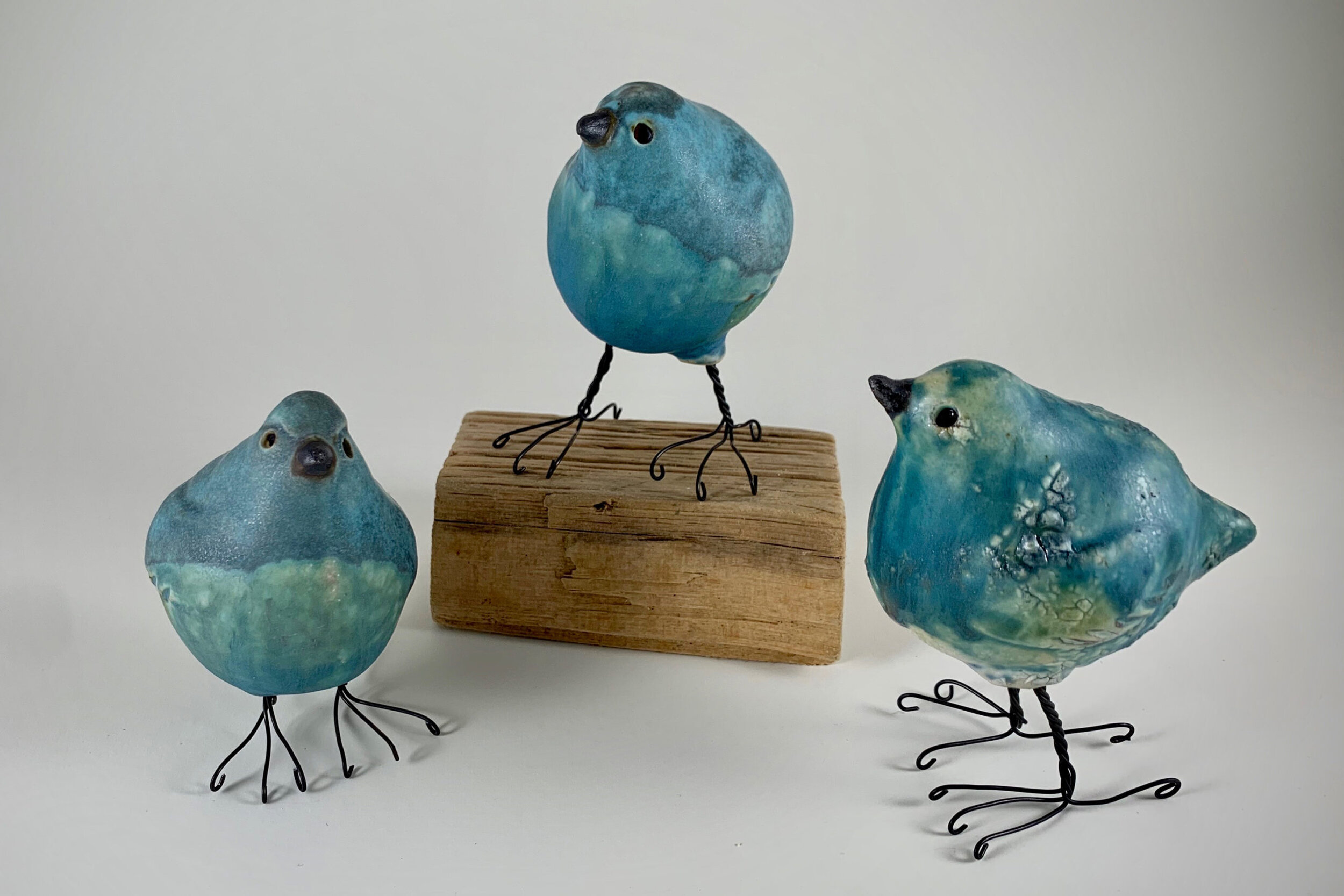 Visse-blue-birds-scaled.jpg