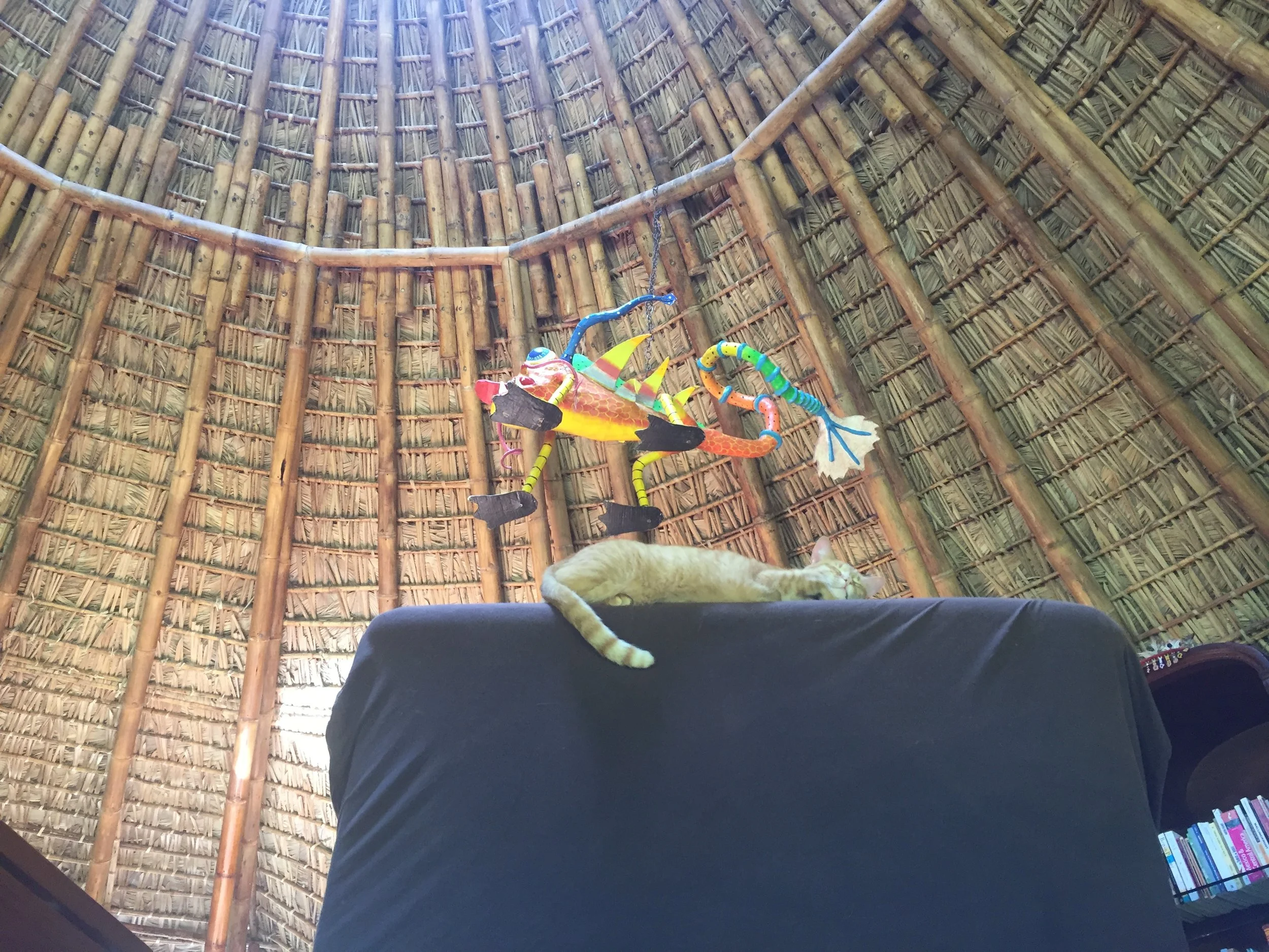 Crouching Dragon, Couching Tiger