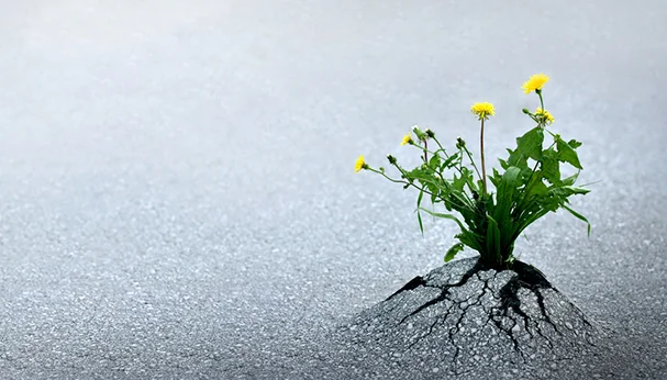 Breakthrough