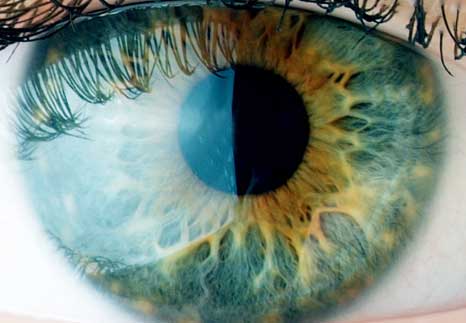 Eyes-to-See.jpg