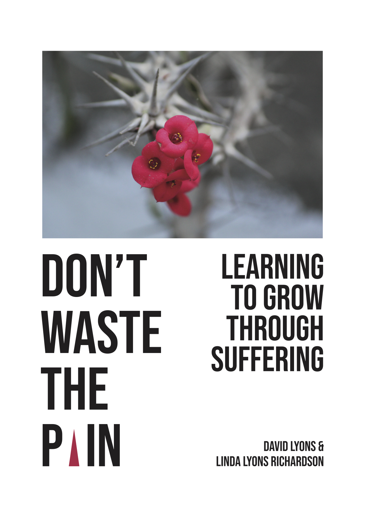 DWTP Book Cover.jpg
