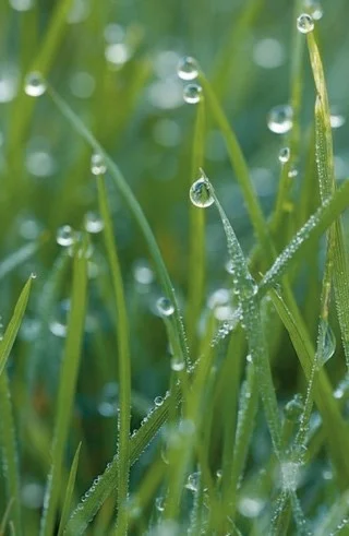 Droplets.jpg