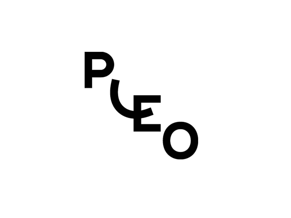 Pleo.jpg