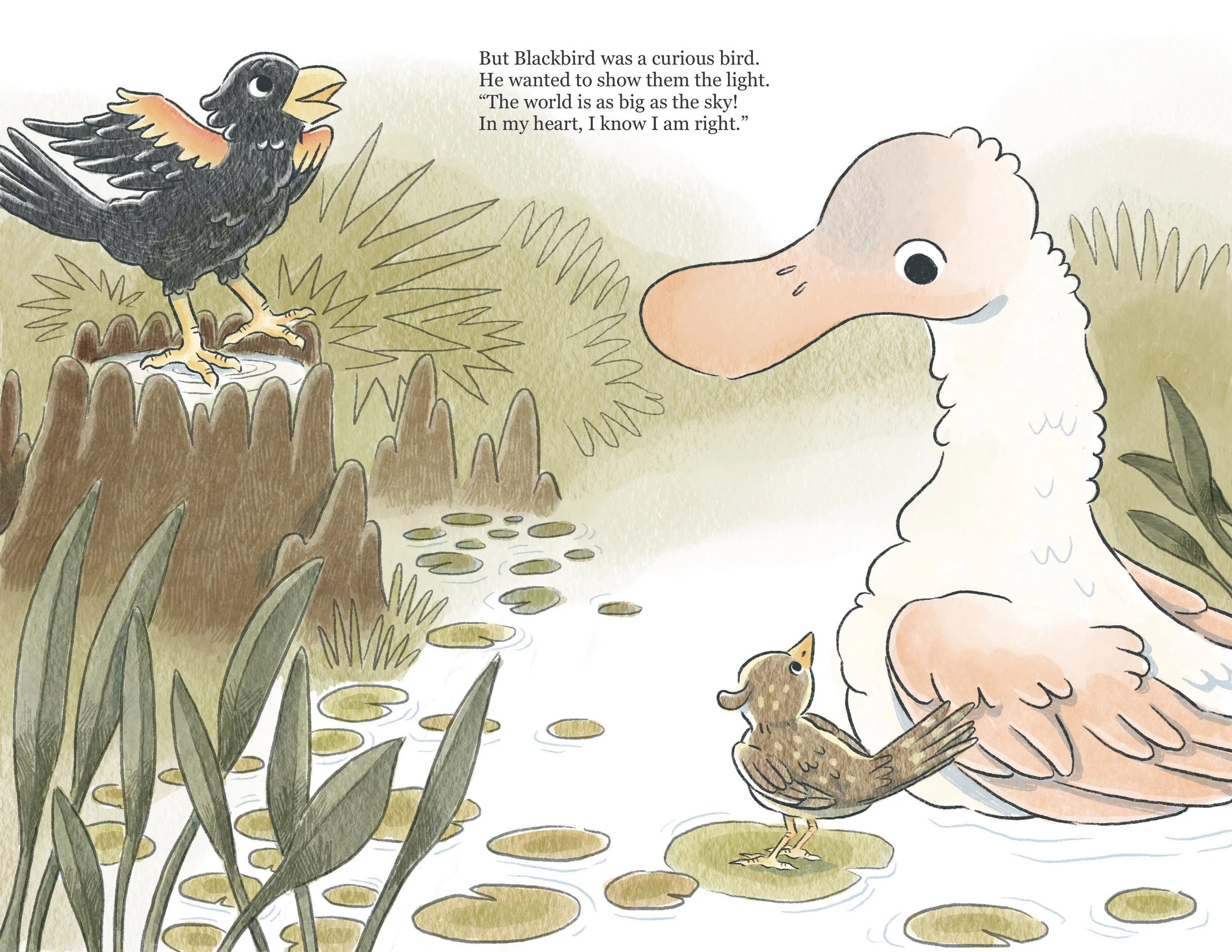 This is a mock up of the book proposal: Curious Blackbird