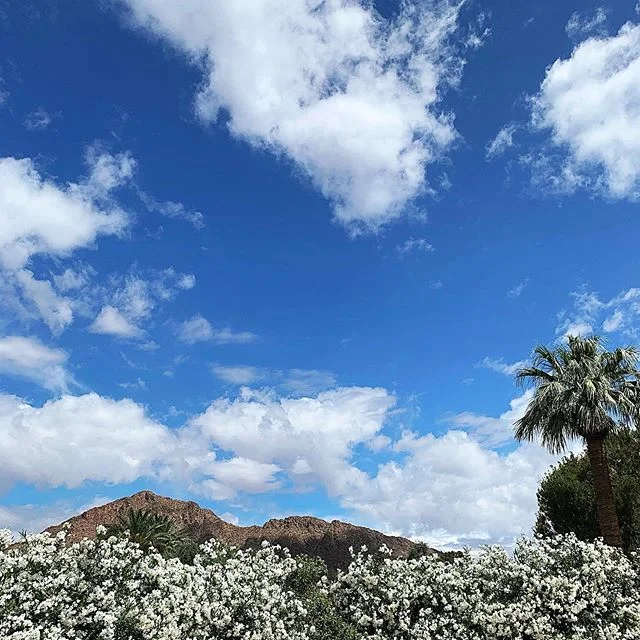 When I was little, I understood that seeing this mountain from any point in town meant that I‘d easily be able to find my way home. 🏡
.
Technically just a lumpy mound of dirt in the shape of a camel, but it must have some sort of grip on my desert-bred heart? ❤️
.
Even after moving + living + loving my way across the country, it’s familiar shape (drenched in sunshine!!) still has the power to call me back again and again. 🏜
.
This extended stay in my home state has been sweet, but nothing’s more exciting than the thought of being back in Long Beach next week! 🌊
.
#camelbackmountain #scottsdale #flavorfullife #happythankyoumoreplease #pepperadventure #ontheroad #arcadiaaz #hometownstories #desertvibes #arizonasky