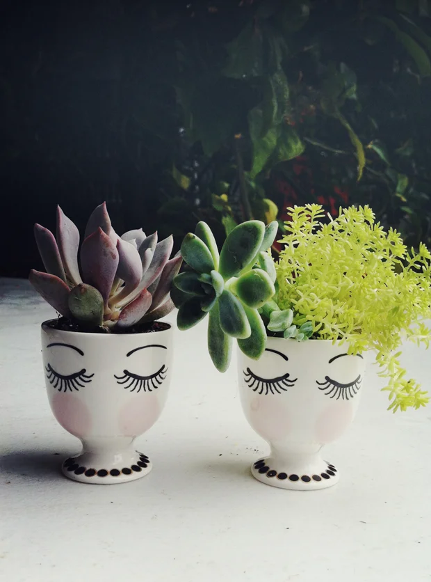 Life // So Long, Succulents!