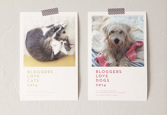 blogsanddogs2.png