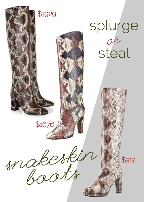 snakeskinboots.jpg