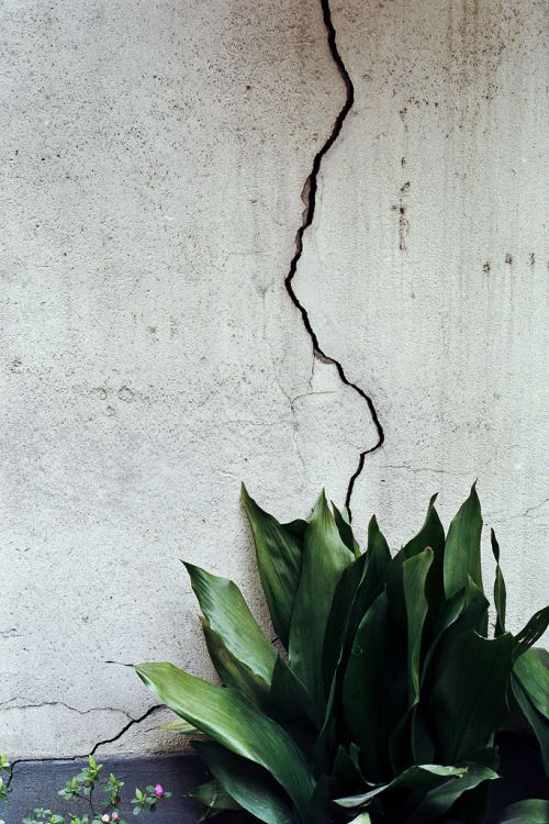 split-wall.jpg