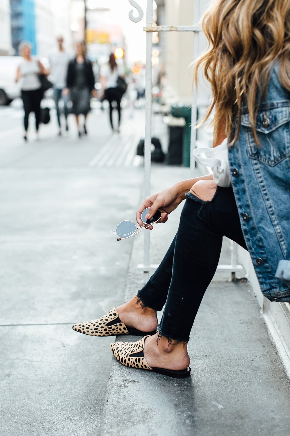 leopard-slide-round-up.jpeg