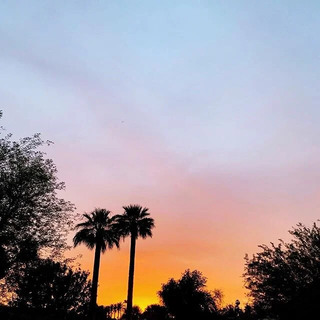 First time in weeks (ok, months!) that it actually feels like a Friday. 🙌🏼✨💕🥳 Here&rsquo;s to a full night of neighborhood chats and an entire weekend of sunshine that is stretching out in front of us.
.
#belmontshore #lovelongbeach #fridaynightvibes